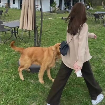 戒烟的挑战